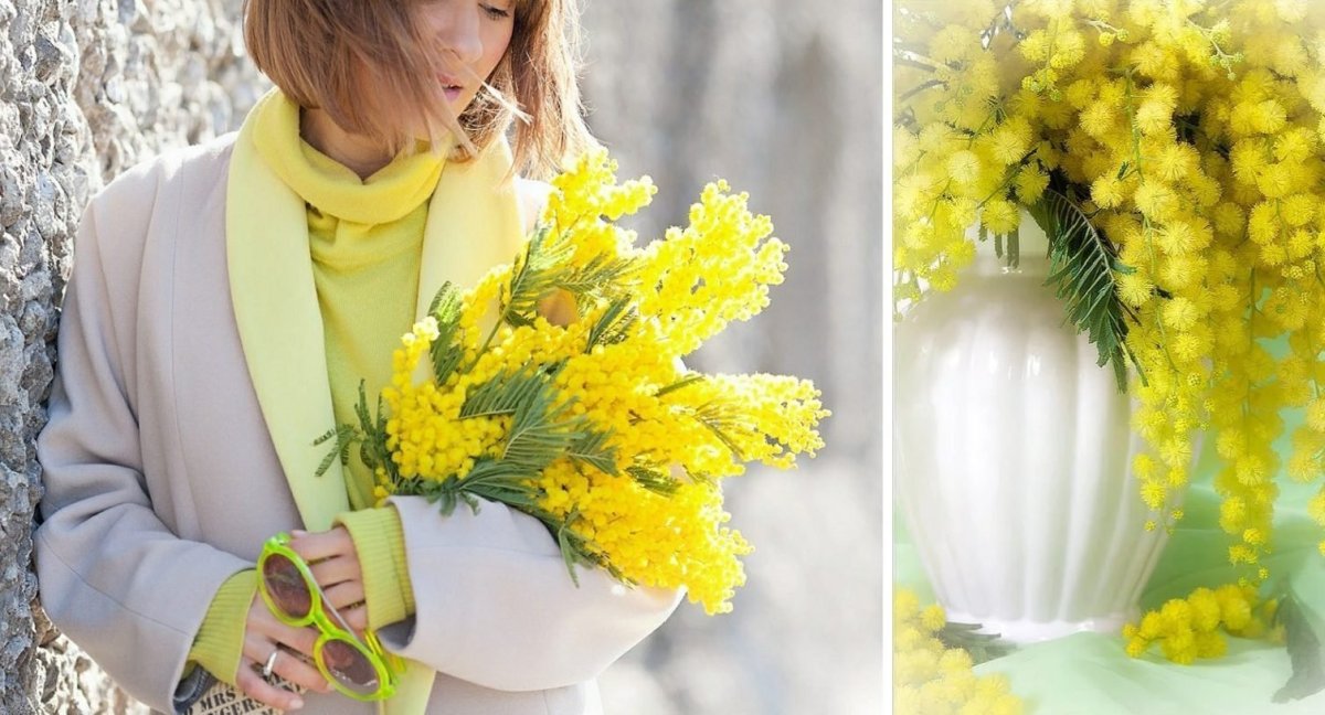 Желтый весенний цветок (63 фото)