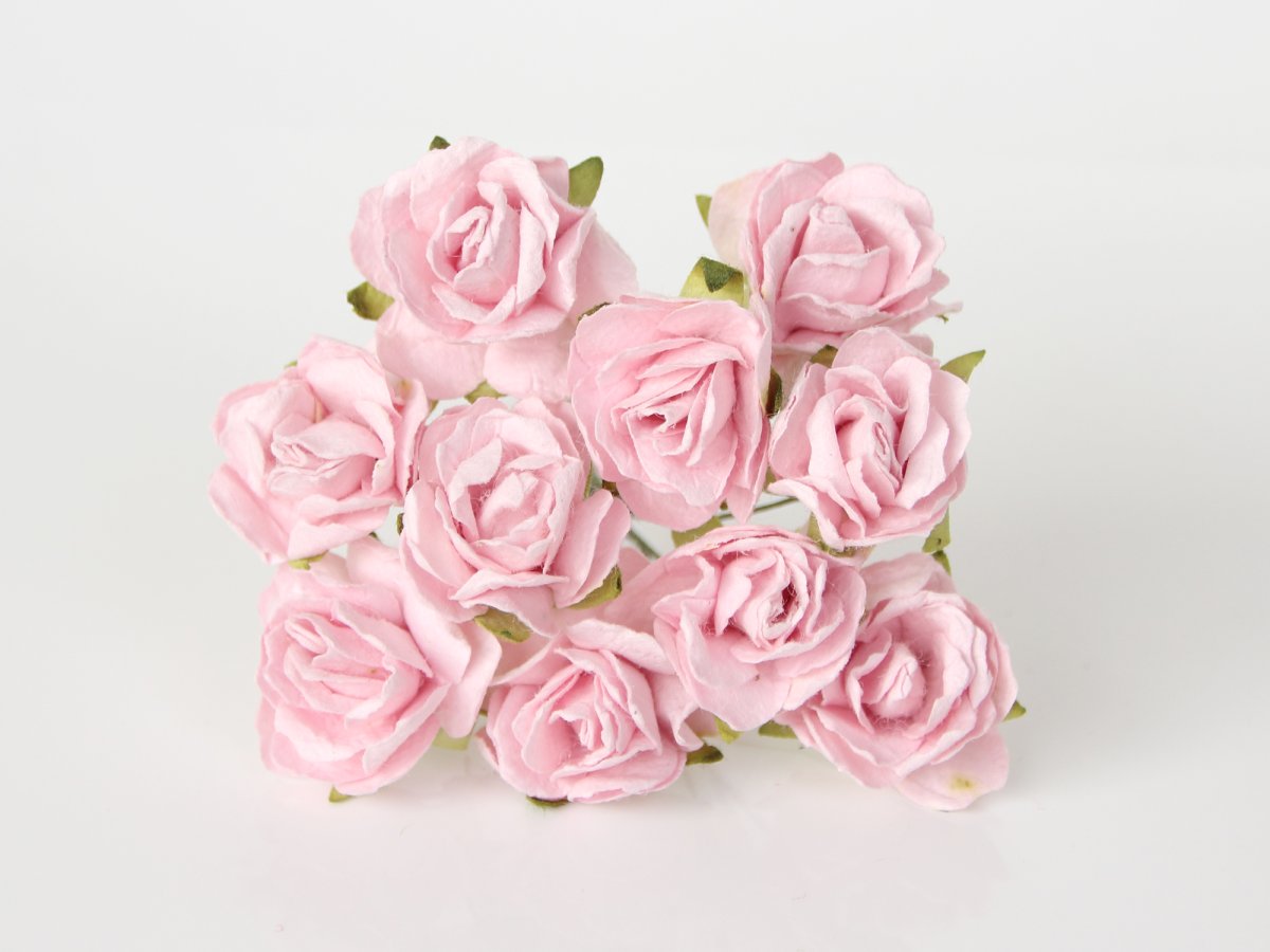 Светло розовые розы (84 фото)