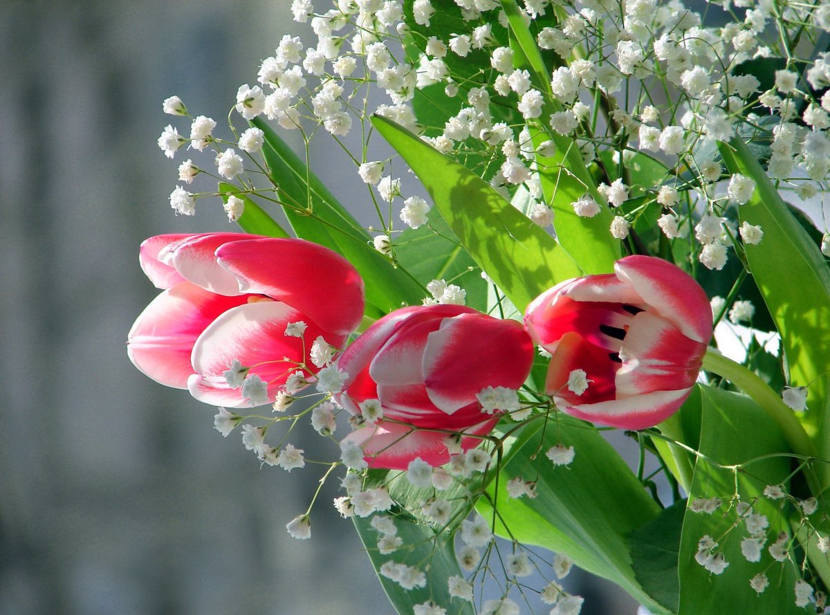 Открытки красивые весенние цветы (80 фото)