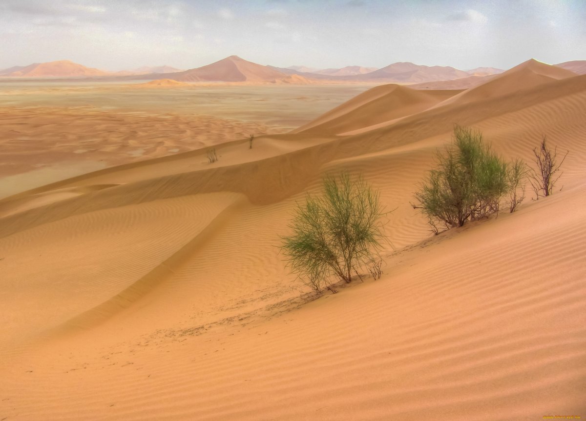 Зона пустынь в россии (61 фото)