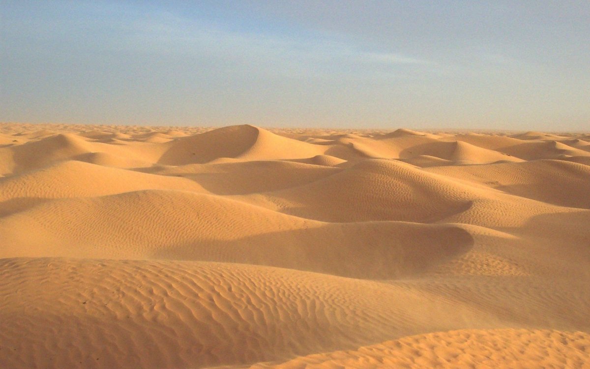 Песчаная пустыня (55 фото)