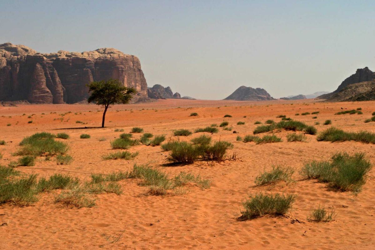 Пустыня и полупустыня (67 фото)