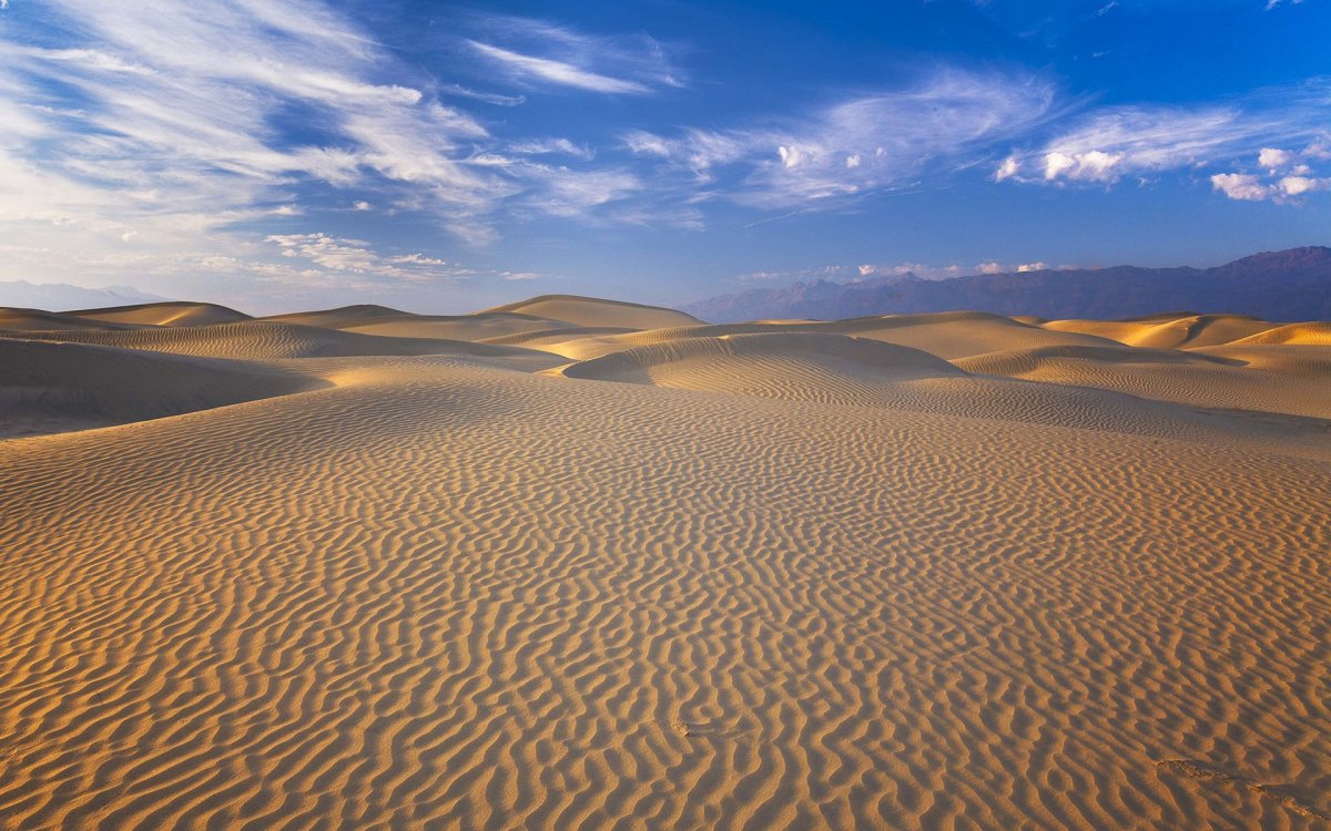 Пустыня касим (64 фото)