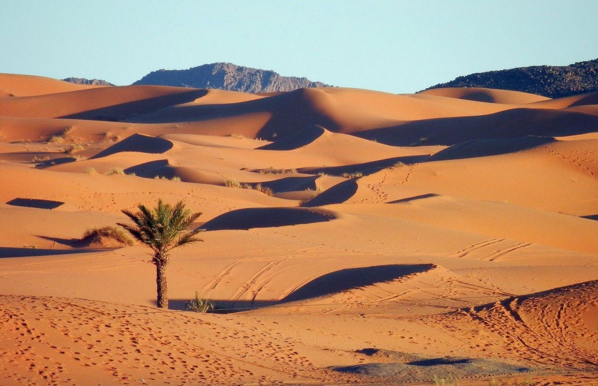 Пустыня в евразии (66 фото)