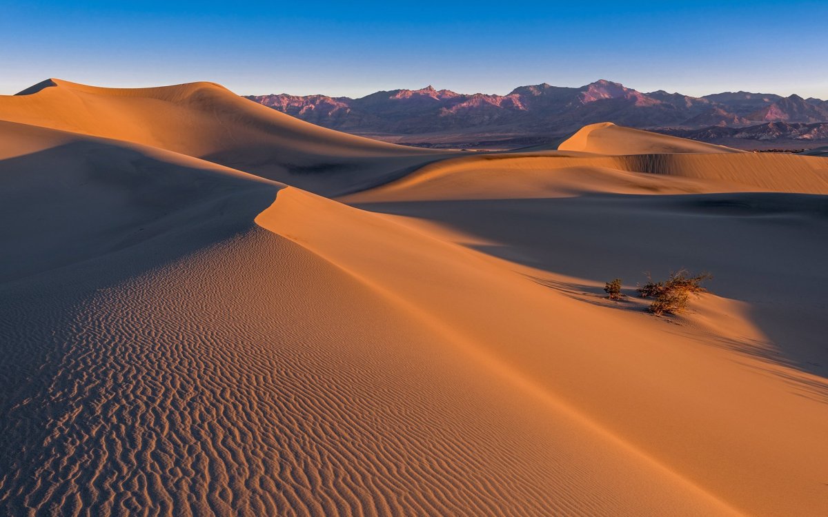 Самая сухая пустыня (60 фото)