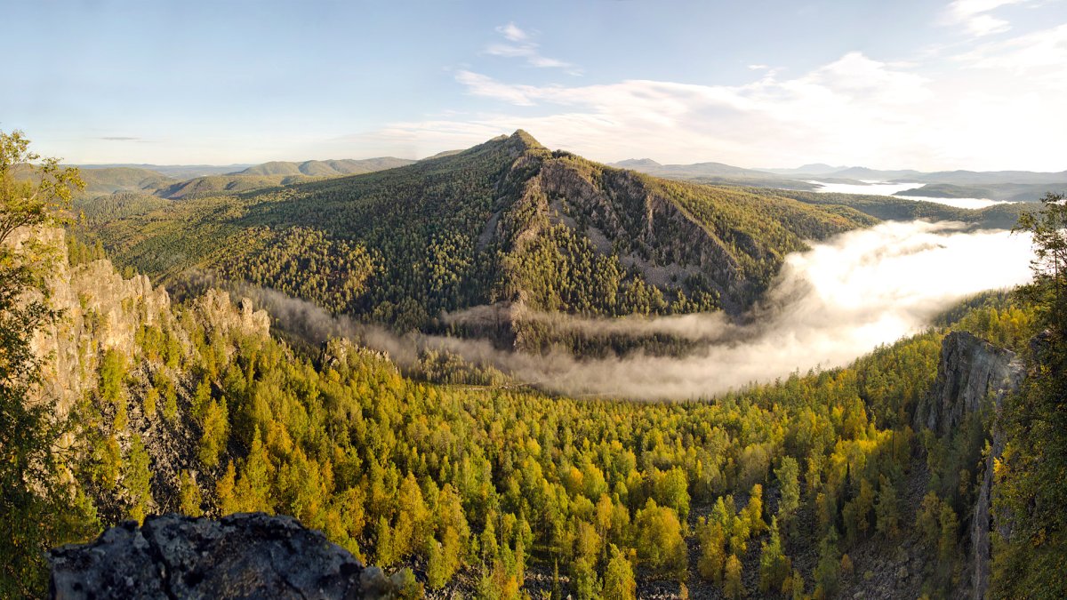 Уральский лес (63 фото)