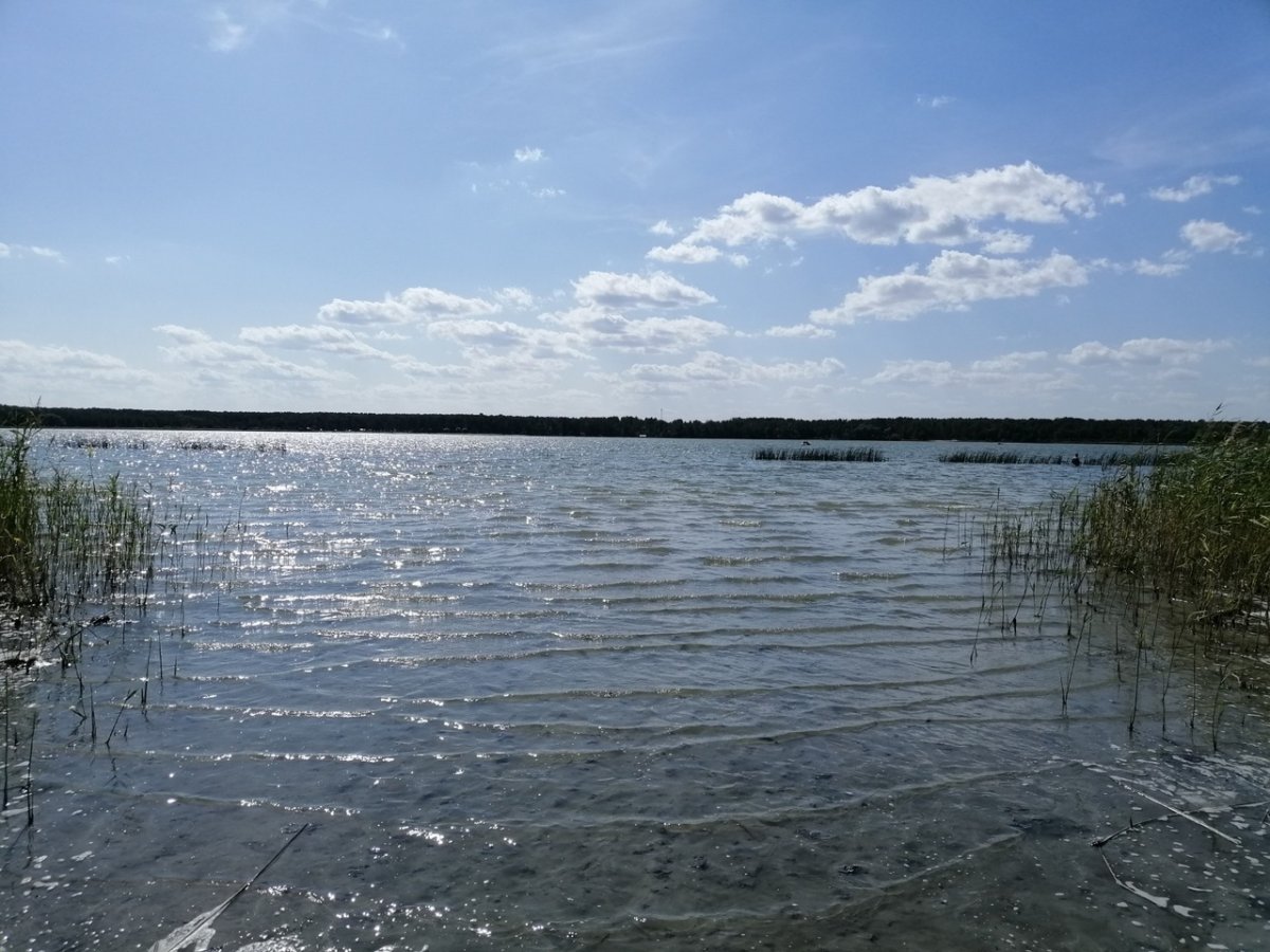 Озеро шеломенцево (65 фото)