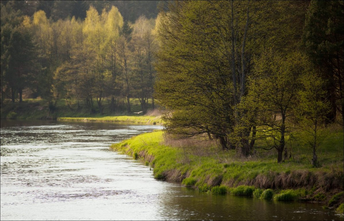 Река вилия (68 фото)
