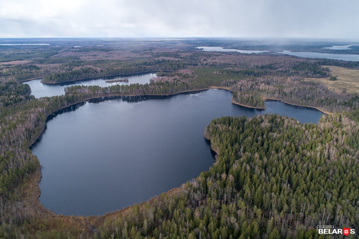 Озеро круглое дмитровский район фото Озеро круглое дмитровский район (66 фото)