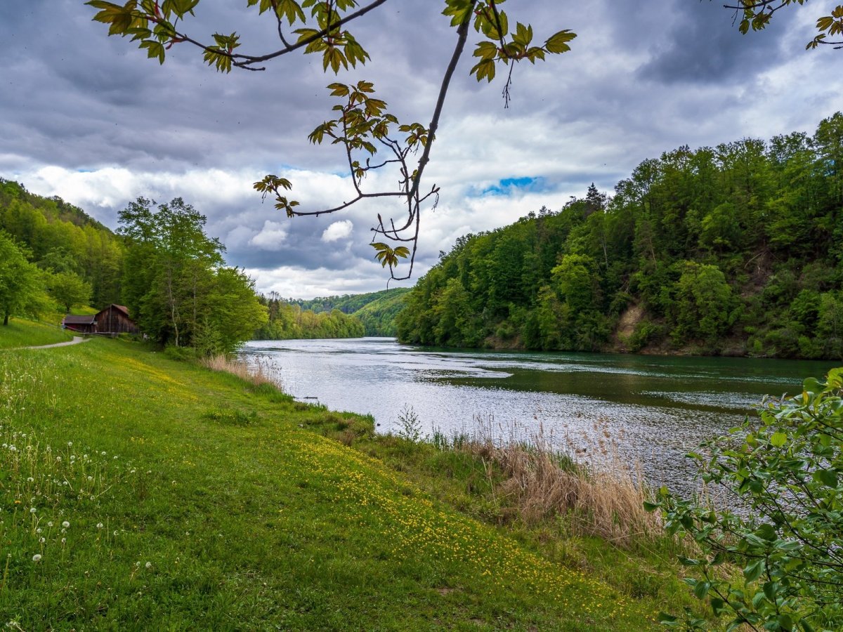 Река ранова (61 фото)