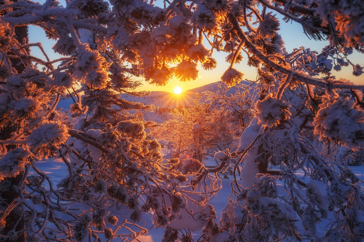 Солнце зимой (44 фото)