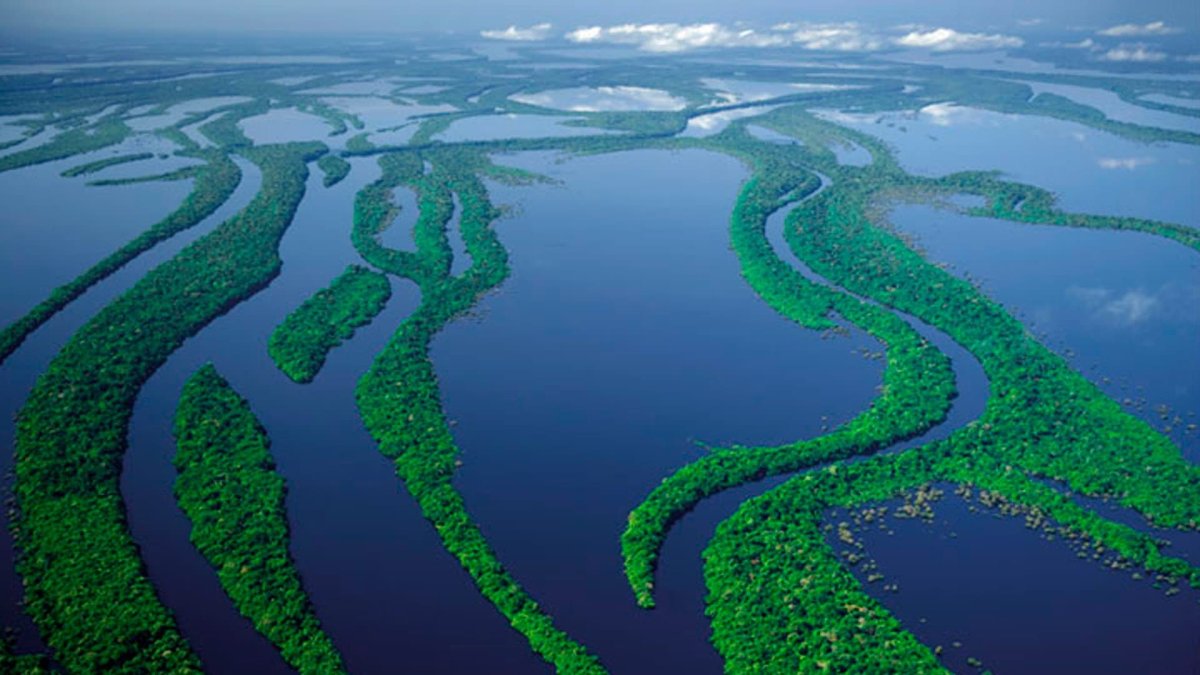 Самая большая река южной америки (64 фото)