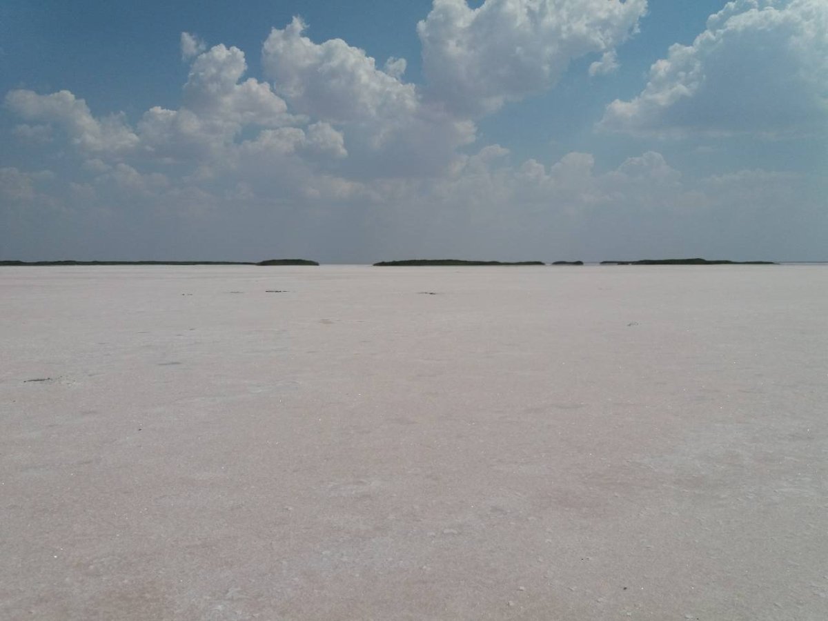 Соленое озеро в самарской области (60 фото)