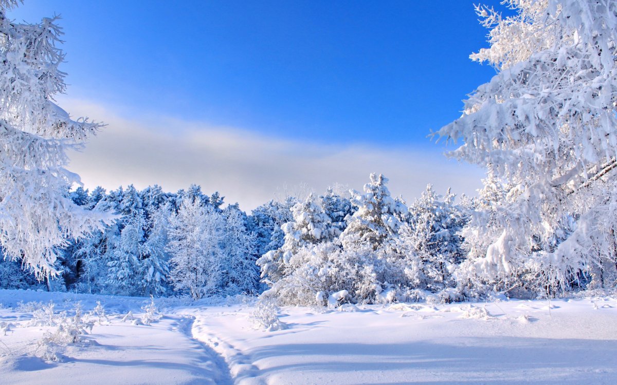 Красивая зимняя природа (40 фото)
