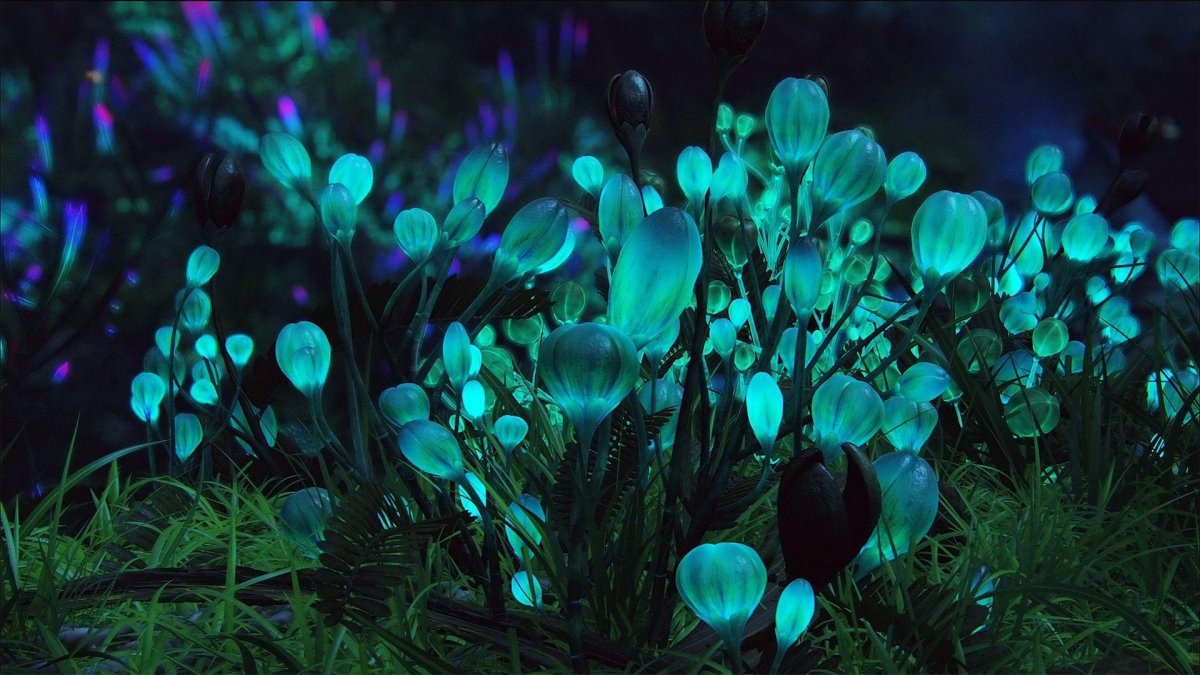 Биолюминесцентные растения (66 фото)