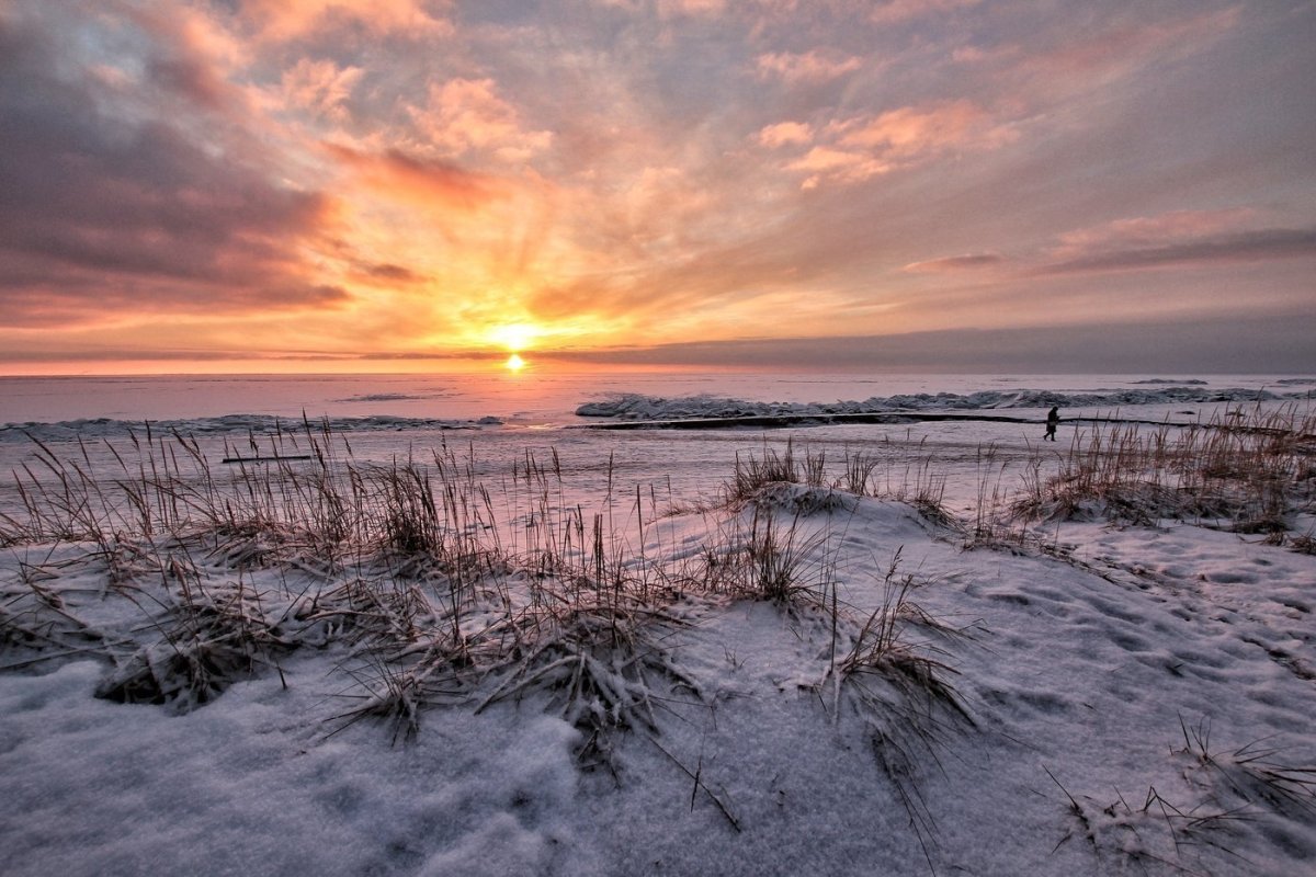 Финский залив зимой (69 фото)