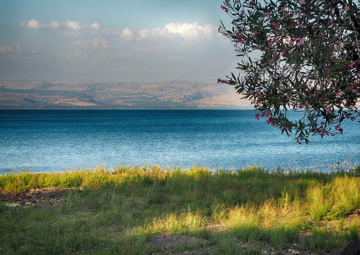 Озеро в израиле (66 фото)