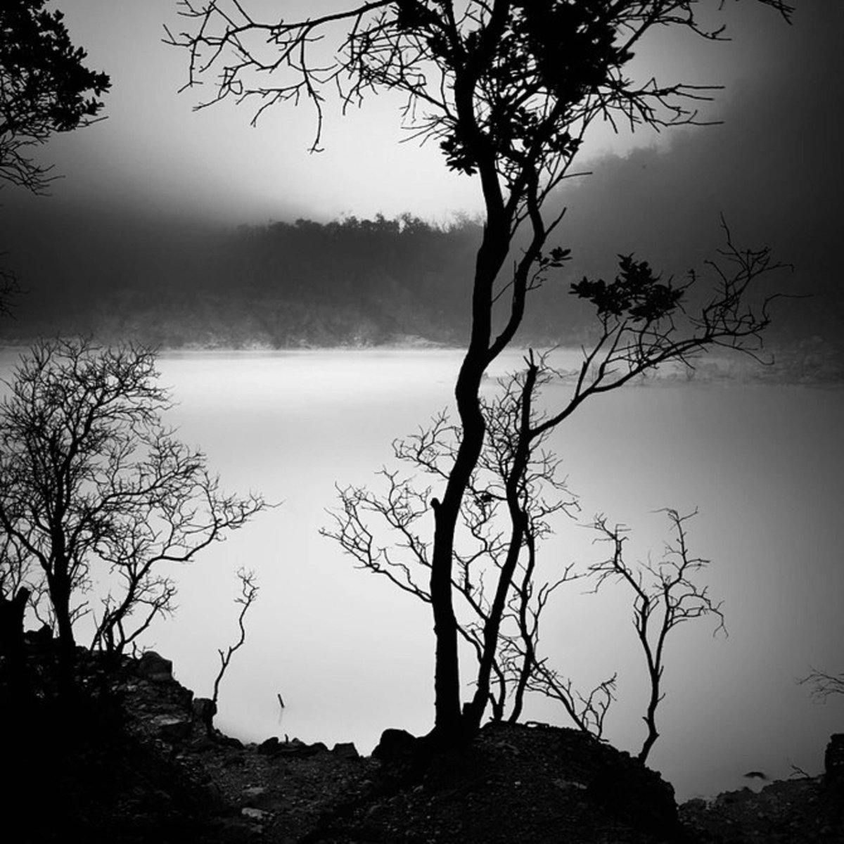 Черно белый пейзаж (67 фото)