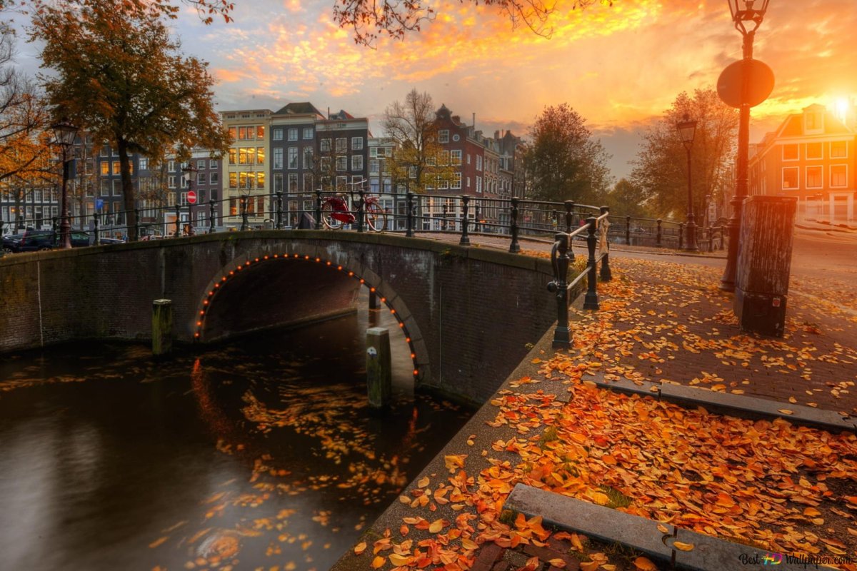 Осенний городской пейзаж (62 фото)