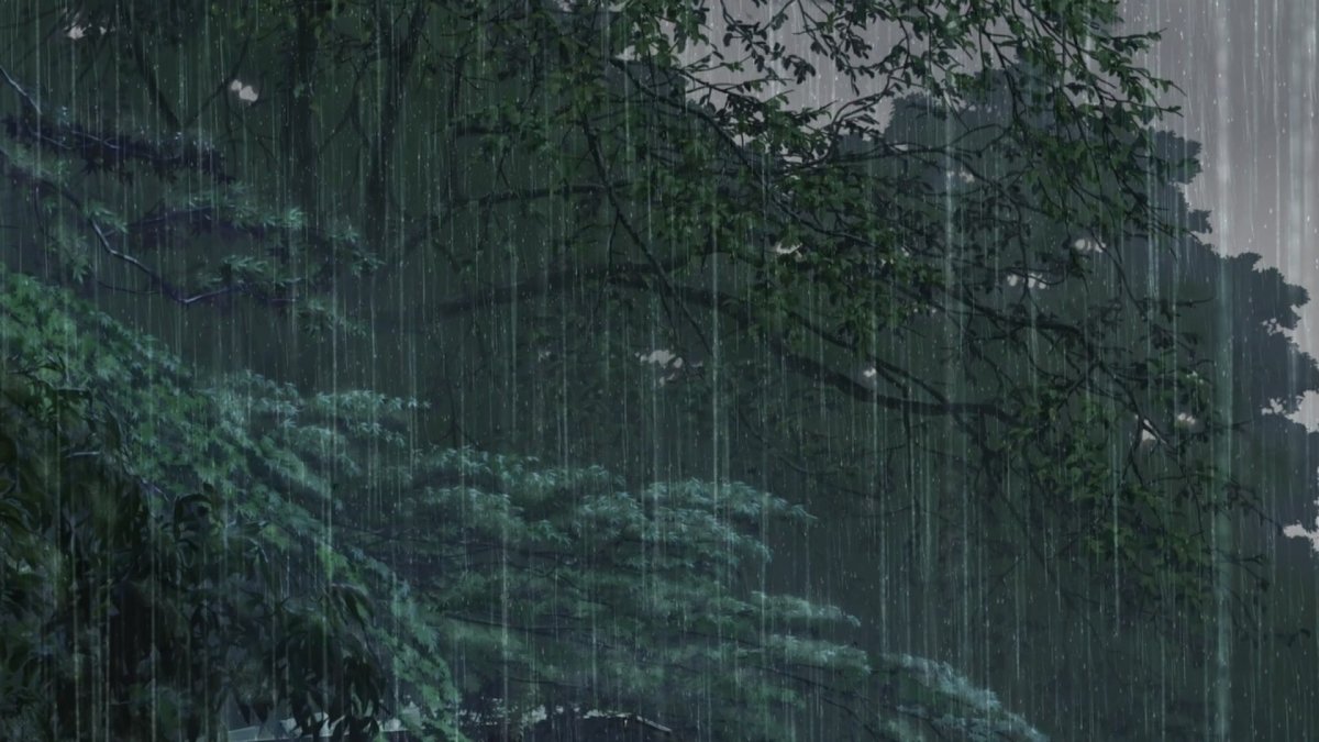 Дождливый лес (64 фото)