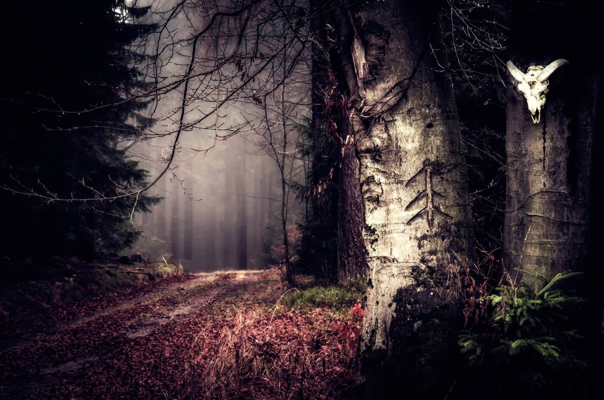 Страшный лес (69 фото)