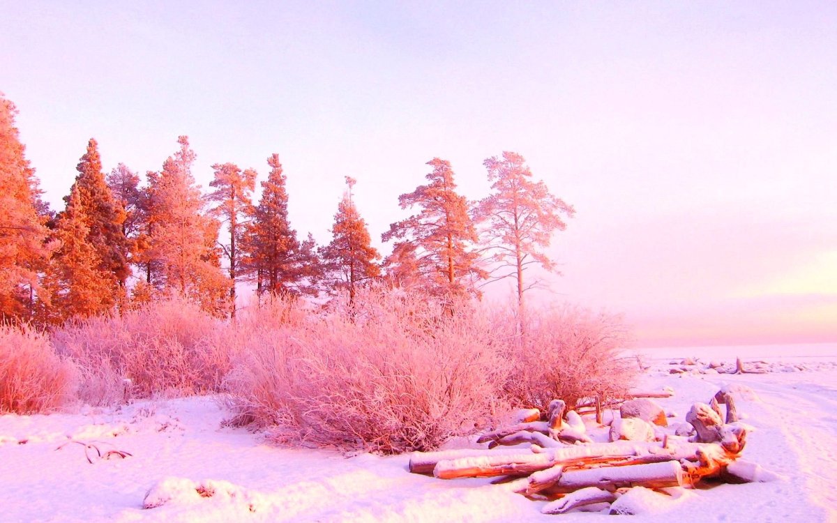 Зимний пейзаж на рабочий стол (58 фото)