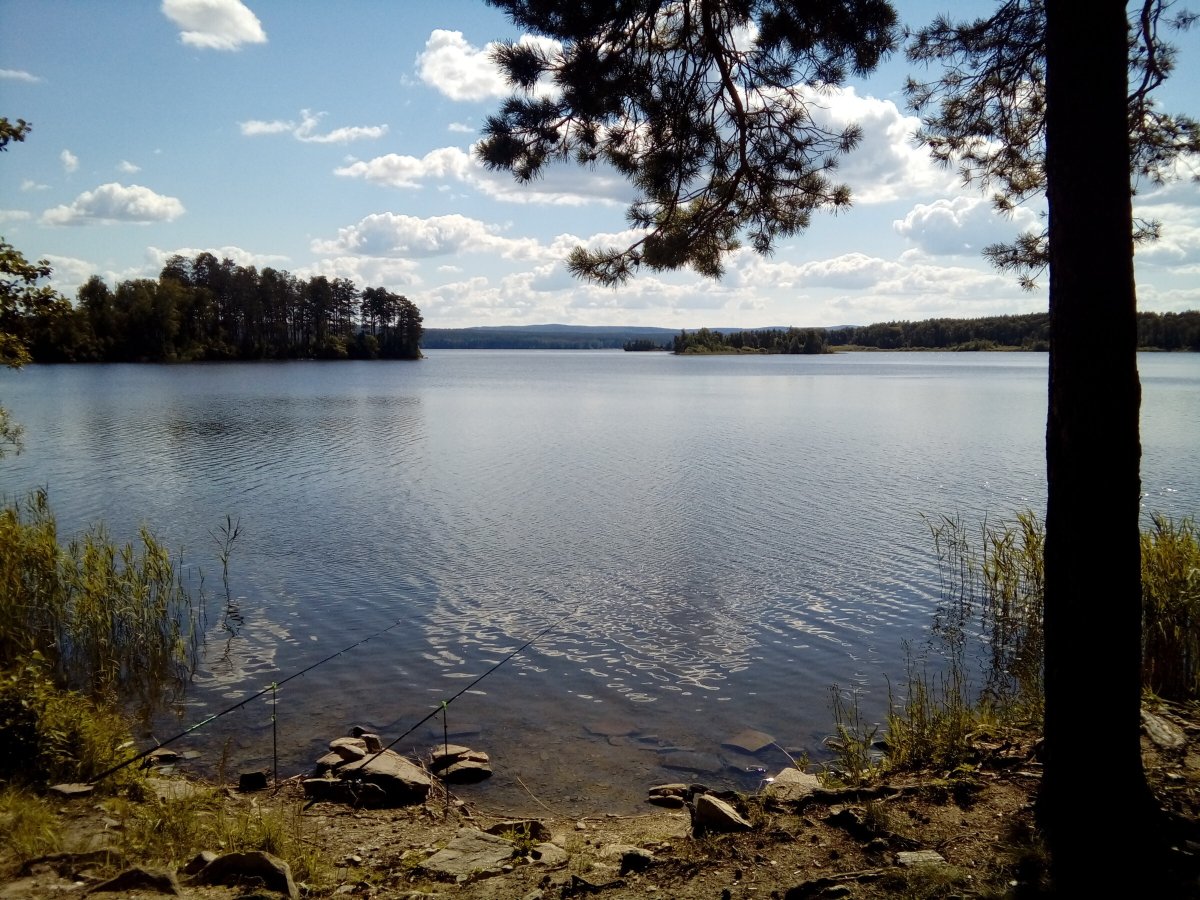 Озеро еланчик челябинская область (63 фото)
