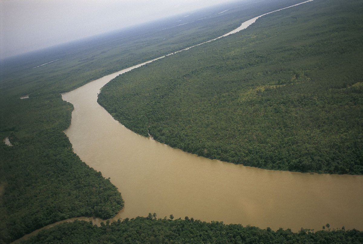 Исток реки нигер (56 фото)