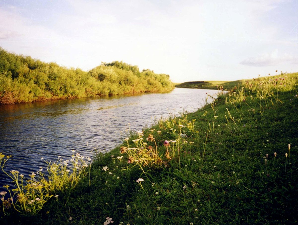 Река карасук (52 фото)