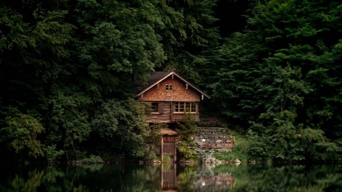 Домик у озера в лесу (72 фото)