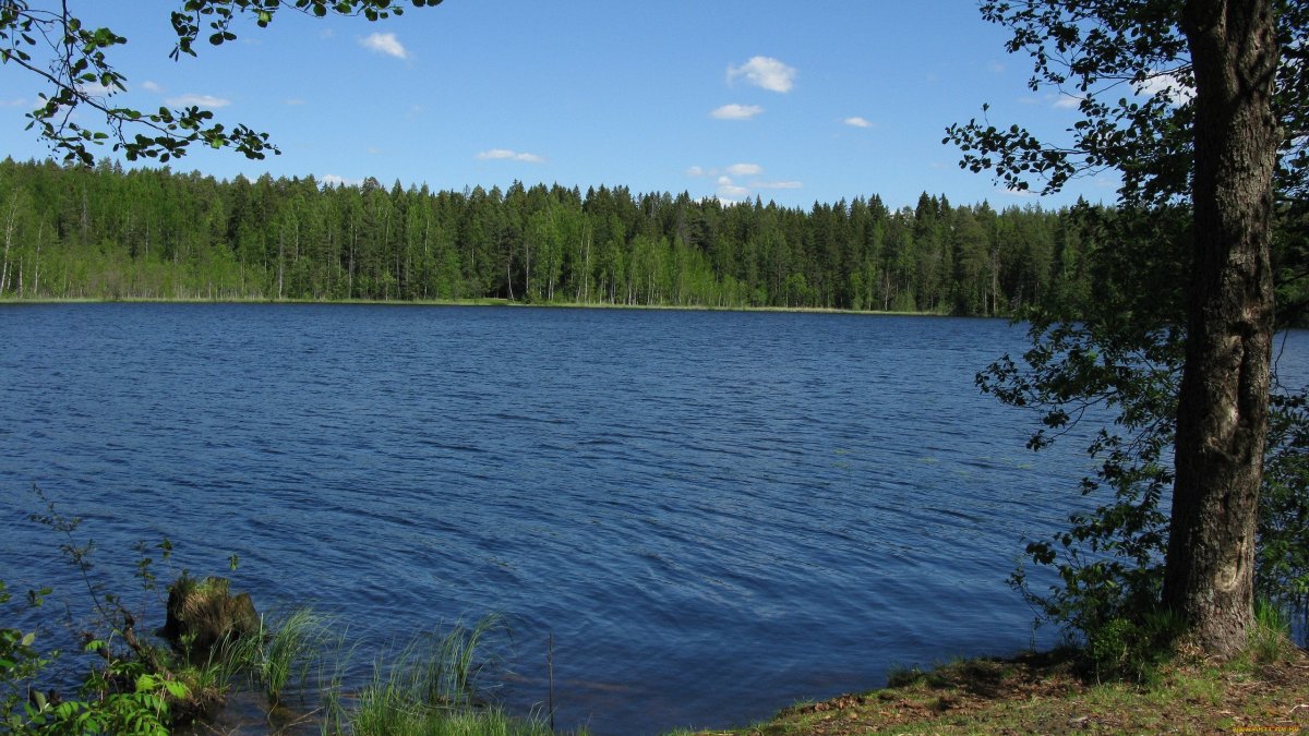 Озеро щучье свердловская область (54 фото)