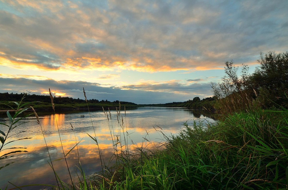 Река унжа (65 фото)