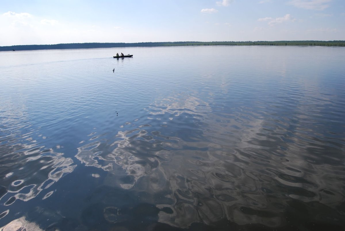 Озеро белое свердловская область (58 фото)