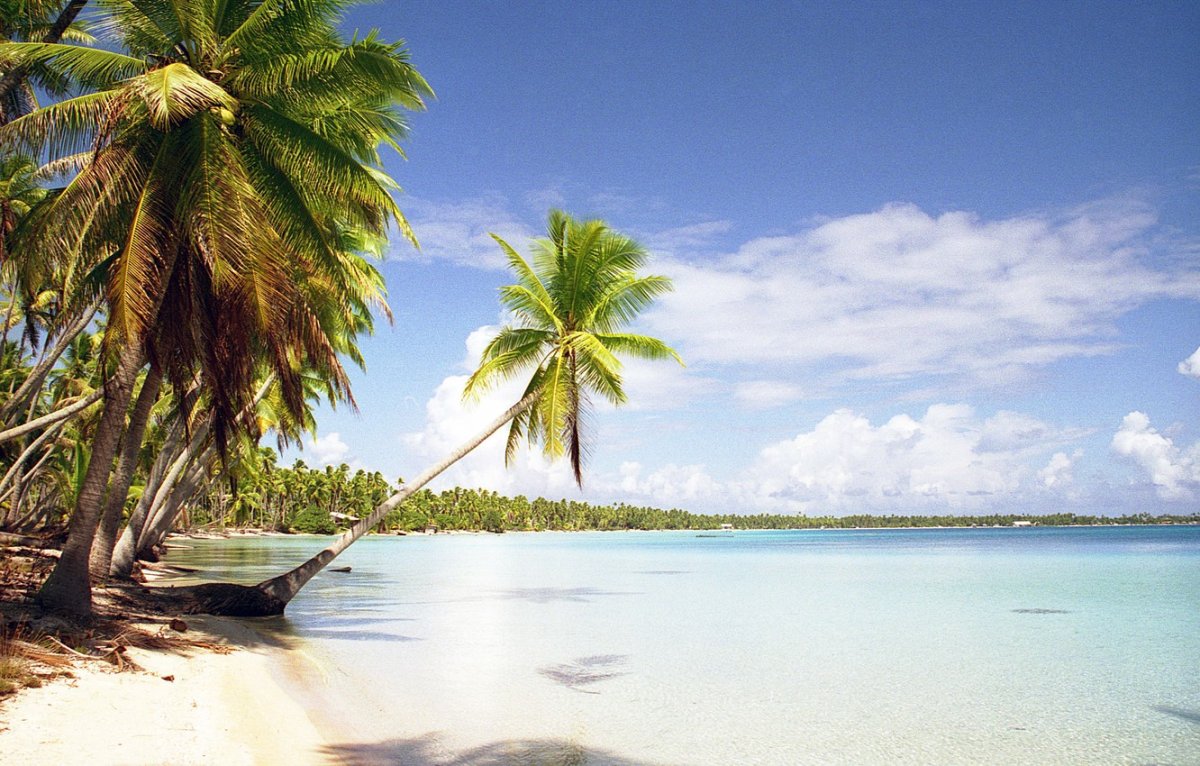 Туамоту острова (62 фото)