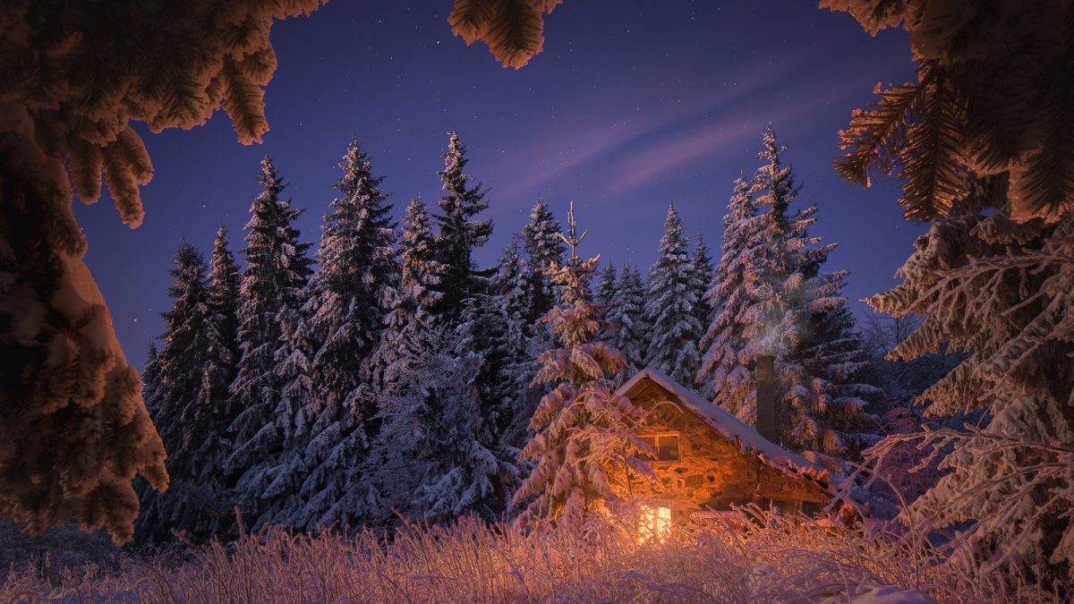 Зимний вечерний лес (68 фото)