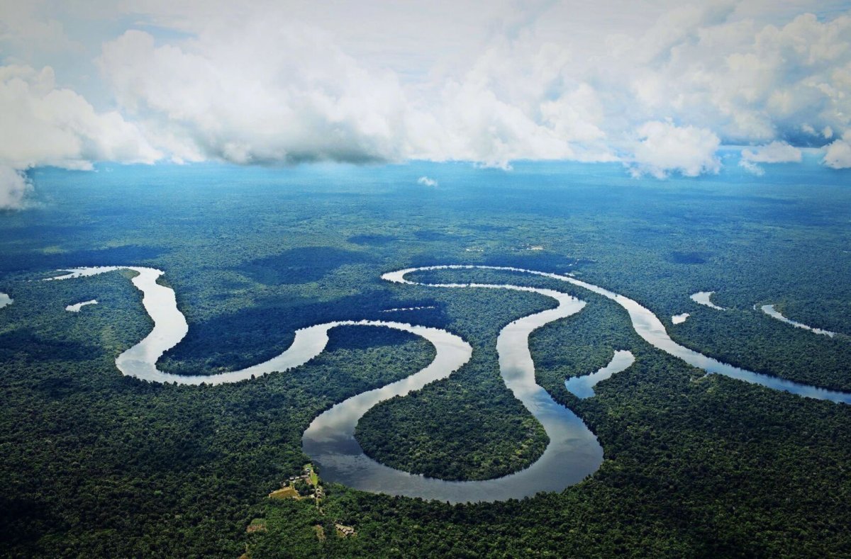 Самая длинная река южной америки (63 фото)