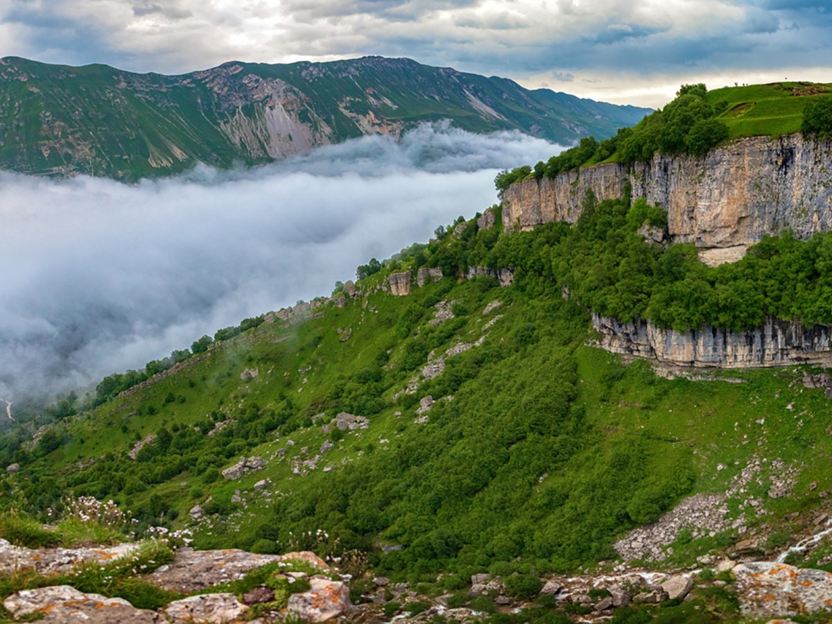 Матлас дагестан (78 фото)