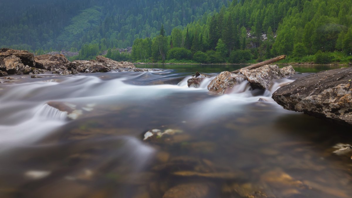 Аршан байкал (81 фото)