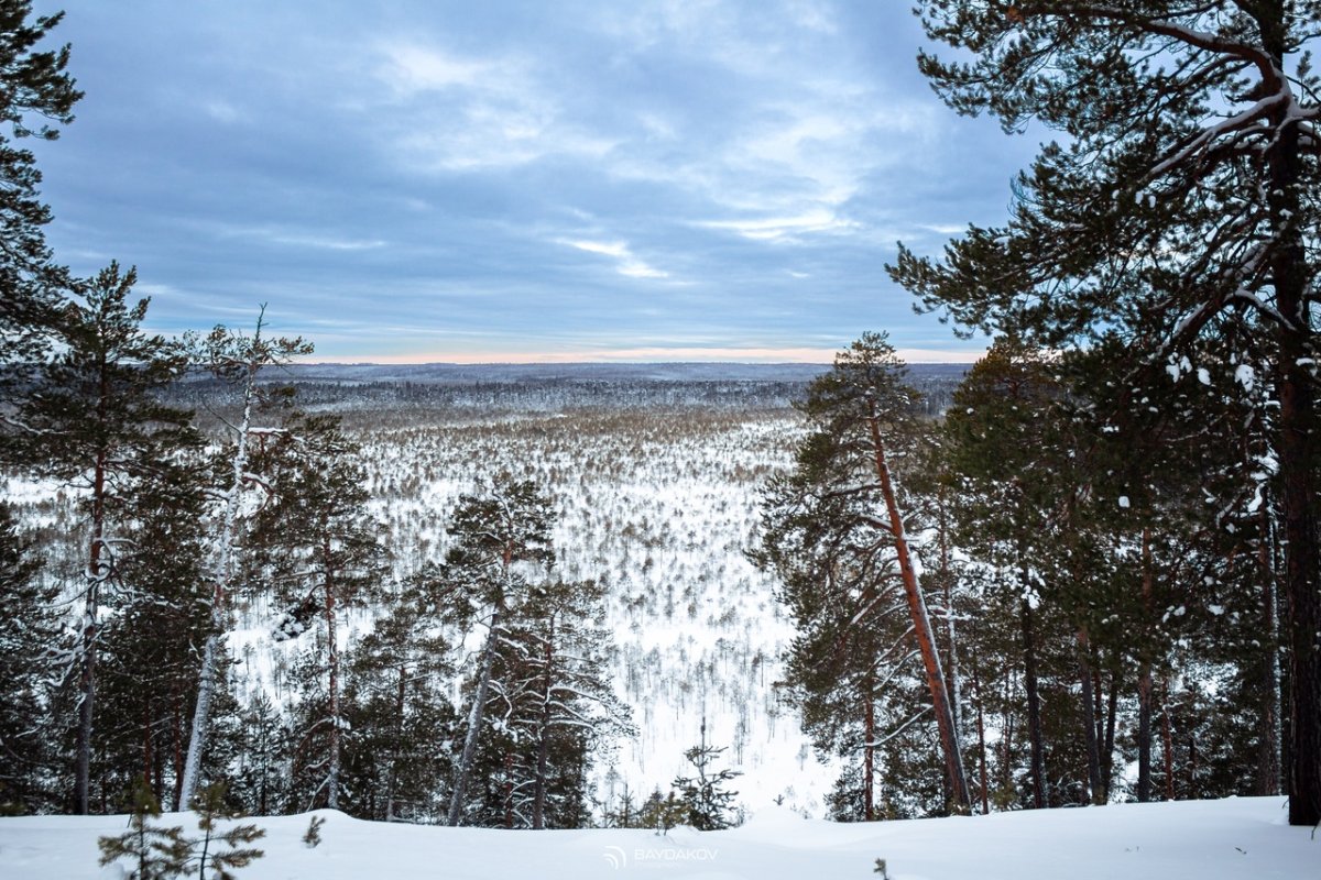 Сибирская тайга (72 фото)