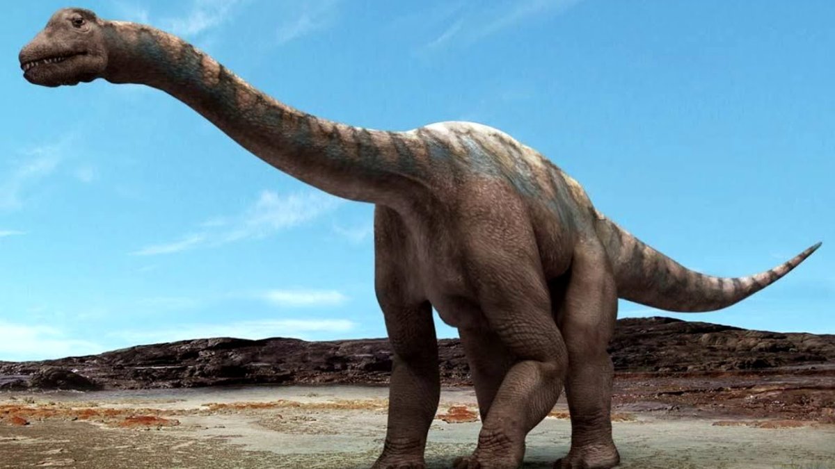 Самый большой травоядный динозавр (81 фото)