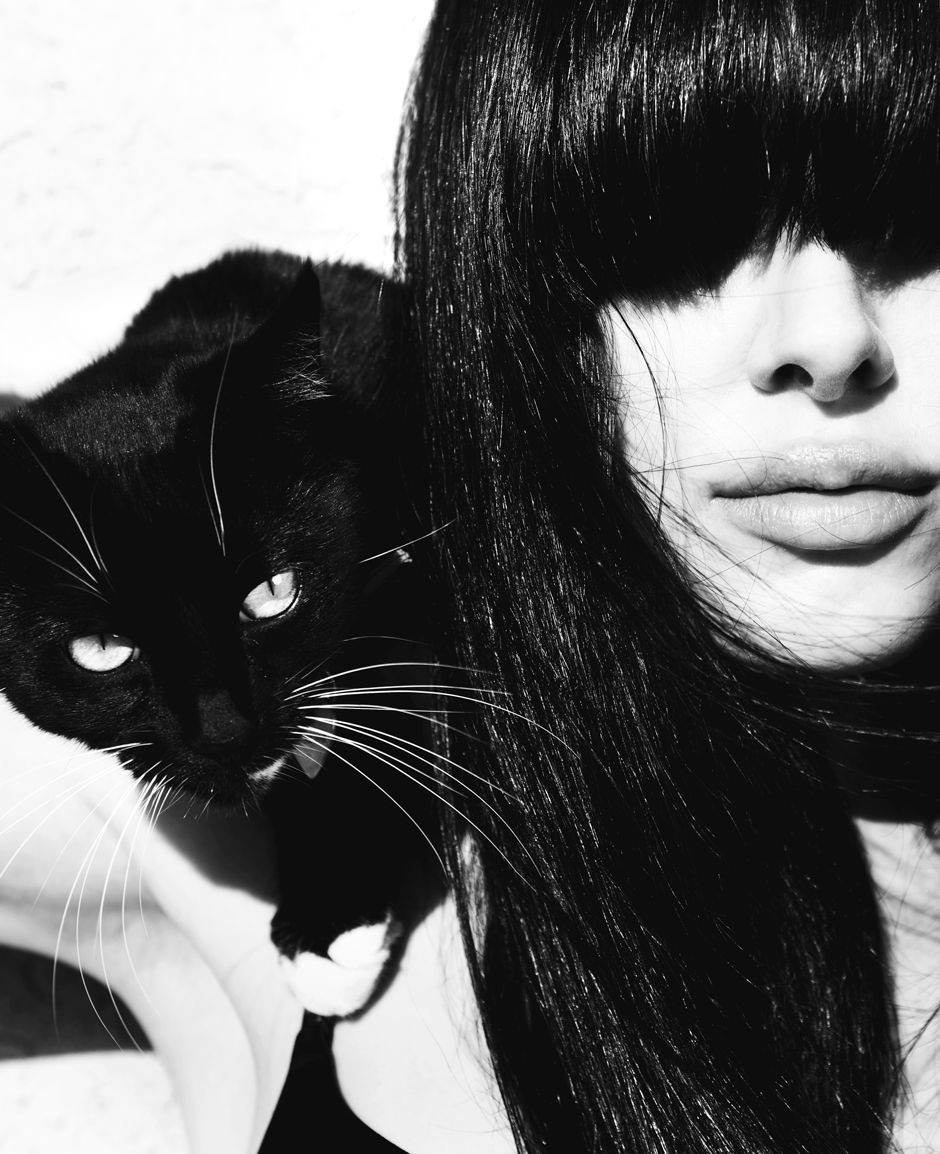 Черная дикая кошка (69 фото)