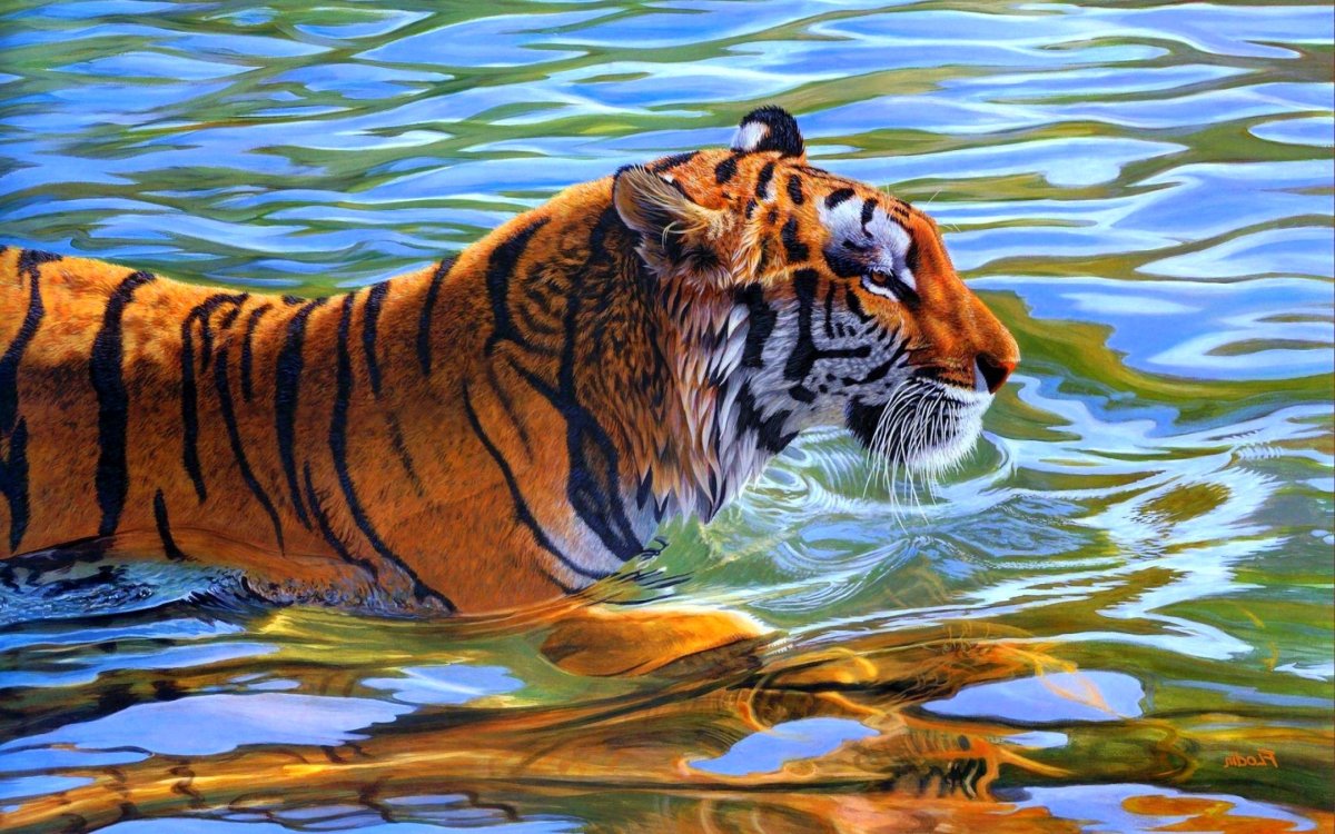 Толстый тигр (67 фото)
